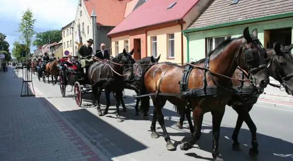 Najlepsze atrakcje w Sierakowie – co warto zobaczyć i przeżyć