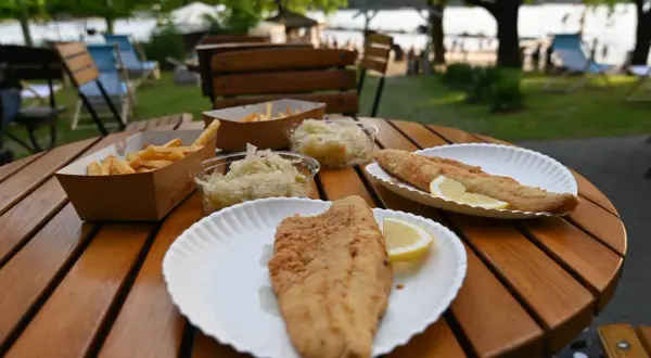 Olsztyn gdzie zjeść? Top miejsca, smaki regionu i porady eksperta