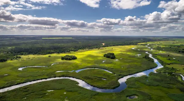 Malownicze meandry rzeki wiją się przez zielone bagna i lasy. To krajobraz Biebrzańskiego Parku Narodowego, największego parku narodowego w Polsce, gdzie natura wciąż króluje.
