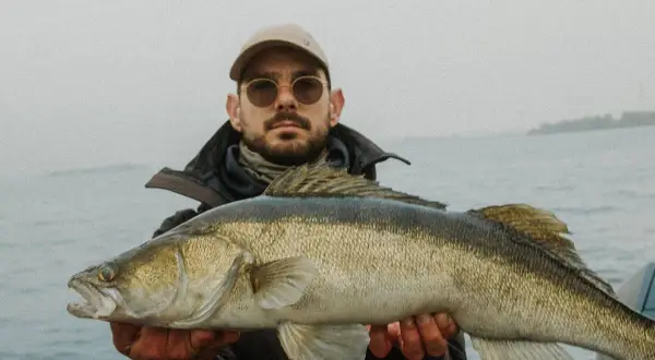 Ein Angler präsentiert stolz seinen Fang: ein prächtiger Zander, gefangen beim Zanderangeln im Sommer.