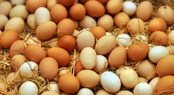 Un mucchio di uova fresche, marroni e bianche, su un letto di paglia. Per capire se le uova sono buone, osserva la loro freschezza.