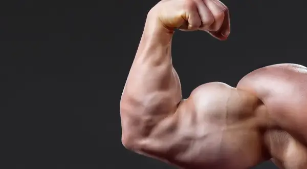 Mięsień bicepsa kulturysty. Zastanawiasz się, ile węglowodanów na masę jest potrzebne, by osiągnąć taki efekt?