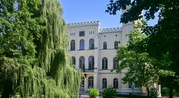 Zamek w Rokosowie, otoczony zielenią, prezentuje się okazale. Wierzba płacząca zasłania część fasady.