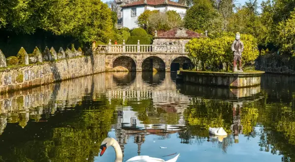 Un cisne blanco nada en un estanque frente a un puente de piedra y un palacio, un lugar encantador que ver cerca de Santiago de Compostela.
