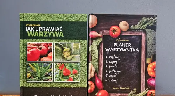 Jak uprawiać warzywa? Poradnik krok po kroku dla początkujących