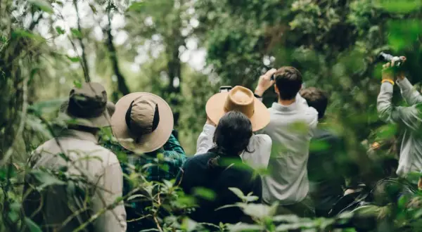 Följ med på en djungelvandring i Uganda! Här får du spännande fakta om landets rika natur och djurliv.