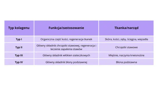 Tabela porównująca typy kolagenu: I (skóra, kości), II (chrząstki stawowe), III (mięśnie), IV (błony). Pomaga zdecydować, jaki kolagen wybrać.