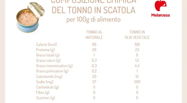Composizione chimica del tonno in scatola: il tonno in scatola, soprattutto quello sott'olio, presenta un elevato contenuto di grassi e sodio.
