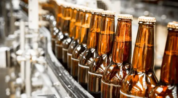 Rząd brązowych butelek piwa na linii produkcyjnej. Zastanawiasz się, ile kosztuje krata piwa?