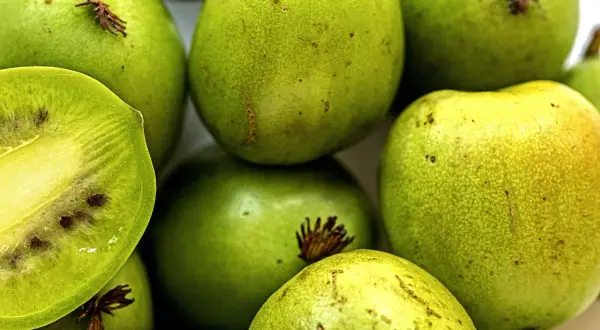 Zbliżenie na zielone owoce kiwi, jeden przekrojony na pół, ukazujący miąższ i pestki.