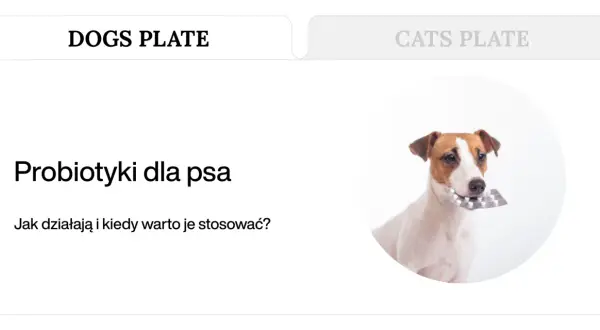 Uroczy piesek trzyma w pysku opakowanie tabletek, sugerując domowy probiotyk dla psa.