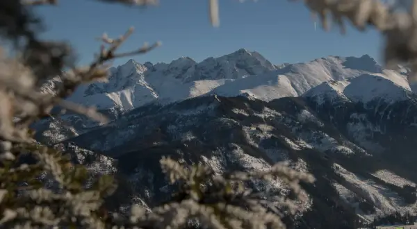 Zimowy widok na Tatry z ośnieżonymi szczytami i lasami. W oddali widać majestatyczne góry, a na pierwszym planie gałęzie drzew pokryte szronem. Widok z Rusinowej Polany.