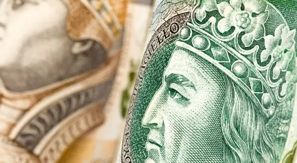 Zbliżenie na polskie banknoty. Zastanawiasz się, kiedy kupić obligacje skarbowe?