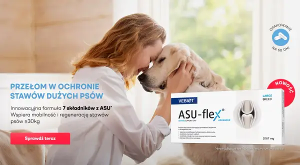 Kobieta tuli swojego psa, obok opakowanie suplementu ASU-flex, który dzięki dużej zawartości duphalyte wspiera stawy dużych psów.