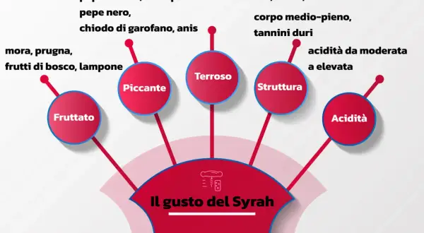 Il gusto del Syrah: fruttato, piccante, terroso, con struttura e acidità. Note di mora, pepe, spezie e sentori della valle del Rodano.
