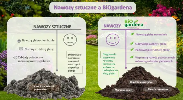 Porównanie nawozów sztucznych i BiOgardena. BiOgardena to nawóz organiczny, który naturalnie odżywia rośliny i glebę, poprawiając jej strukturę.