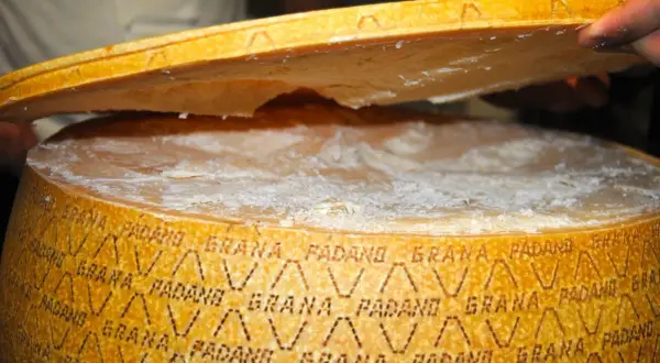 Un pezzo di Grana Padano viene sollevato, mostrando la sua crosta e la pasta interna. Le proprietà del Grana Padano sono evidenti nella sua consistenza.