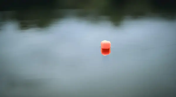 Pomarańczowy pellet z konopi unosi się na spokojnej wodzie, tworząc odbicie.
