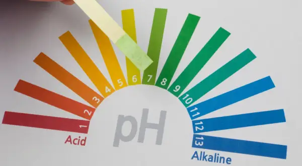 Bandelette réactive testant le ph de l'eau minérale, montrant un résultat légèrement alcalin, entre 6 et 7.