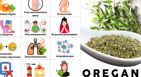 Czym zastąpić suszone oregano? Sprawdzone zamienniki, które zaskoczą