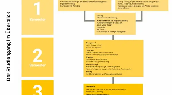 Studienübersicht für ein Brand Manager Studium: Module für Bachelor Design und BWL, aufgeteilt in 3 Semester, mit Fokus auf Marketing, Branding und strategischem Management.