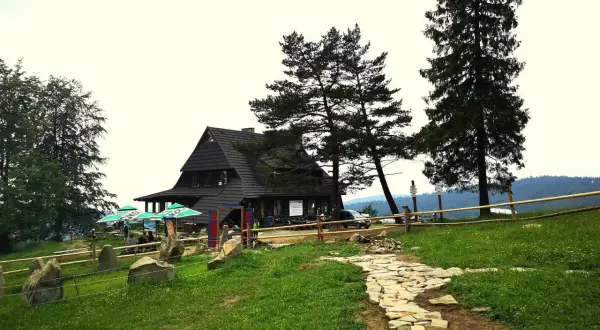 Kamienna ścieżka prowadzi do bacówki nad Wierchomlą. Wokół zielona trawa, drzewa i kamienie.