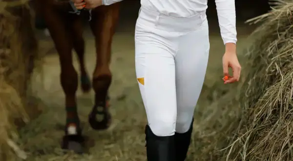 Jeździec w białych bryczesach prowadzi konia przez stajnię.