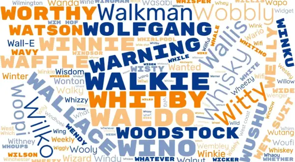 Un nuage de mots avec des prénoms en W comme Wanda, Wolfgang, Wendy, et des mots comme "Walkie", "Whisky", "Witty".