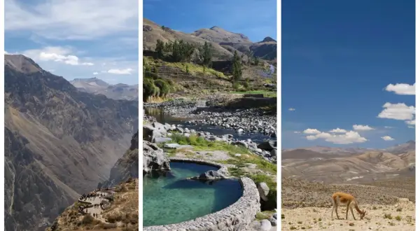 Trois vues du canyon de Colca : falaises vertigineuses, sources chaudes et un lama dans un paysage aride.