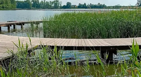 Spokojny wędkarz na drewnianej kładce nad jeziorem słupeckim, otoczony szuwarami.