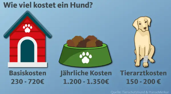 Grafik zeigt, wie viel kostet ein Hund: Hundehütte (Basiskosten 230-720€), Futter (jährlich 1.200-1.350€) und ein Hund mit Verband (Tierarztkosten 150-200€).
