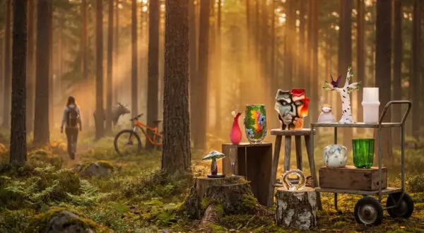I en solbelyst skog, med en älg och cykel i bakgrunden, visas konstglas som en karta över Glasriket.