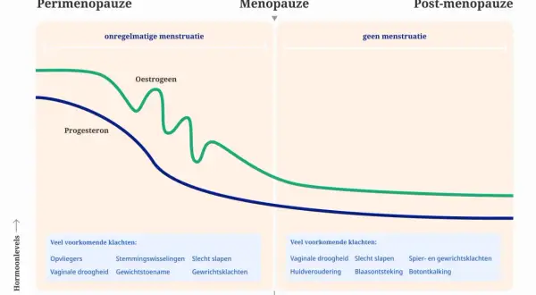 Grafiek toont hormoonniveaus tijdens de overgang. Progesteron daalt, wat kan leiden tot teveel progesteron overgang symptomen.