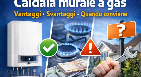 Caldaie a gas vietate? Valuta vantaggi, svantaggi e quando conviene. Immagine con caldaia, fornelli, soldi e chiave inglese.