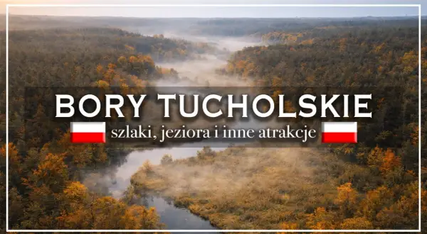 Mglisty poranek nad lasami Bory Tucholskie. Ciekawostki o szlakach, jeziorach i atrakcjach tego pięknego regionu.