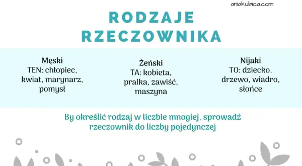 Rodzaje rzeczownika: męski (ten), żeński (ta), nijaki (to). Przykłady: chłopiec, kobieta, dziecko.
