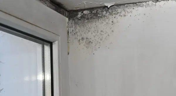Angolo di una stanza con muffa nera e grigia sul soffitto e sulla parete, segno di come riconoscere le infiltrazioni d'acqua.