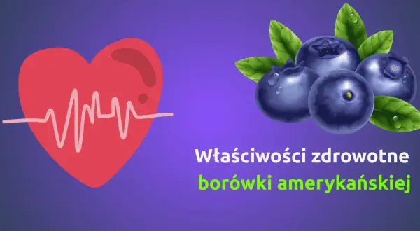 Serce z EKG i borówki amerykańskie. Dowiedz się, jakie witaminy mają borówki i jak wpływają na zdrowie.