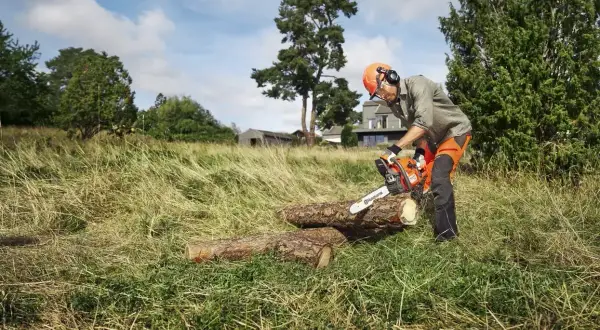 Mężczyzna w kasku i słuchawkach tnie drewno piłą łańcuchową Husqvarna 450.