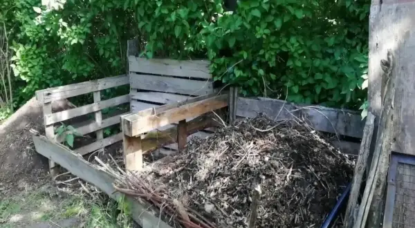 Drewniany kompostownik z pryzmą materiału organicznego w ogrodzie.