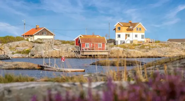 Solvik Kungshamn: Röda och gula hus på klippor vid vattnet, med en brygga och ljung i förgrunden.
