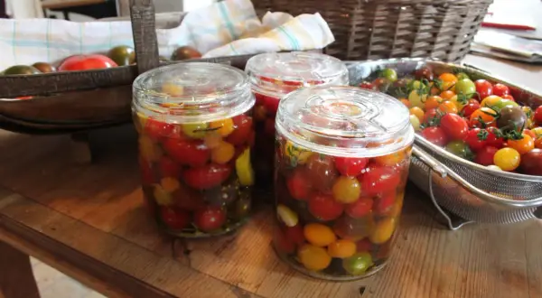 Burkar med inlagda tomater i olika färger. En korg med färska tomater syns i bakgrunden.