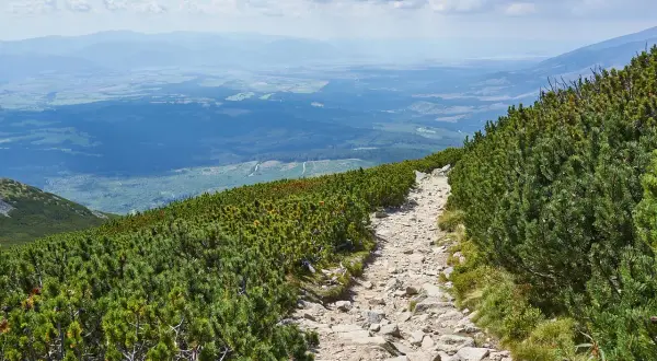 Czerwony szlak na Babią Górę: 5,3 km wyzwań. Gotowy na Diablak?