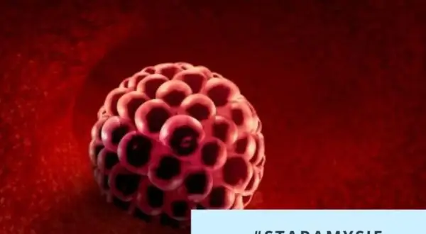 Zarodkowy blastocyst w drodze do macicy. Wczesne objawy implantacji zarodka mogą być subtelne. #STARAMYSIĘ