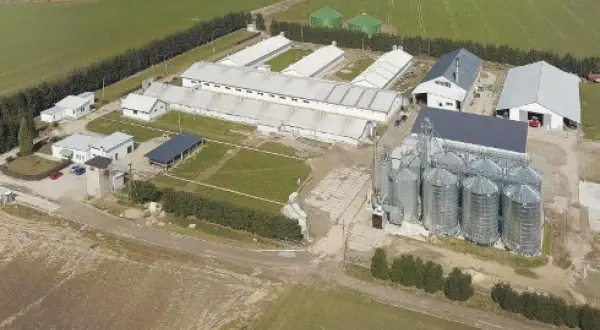 Jaka odległość chlewni od budynku mieszkalnego? Przepisy i wyjątki