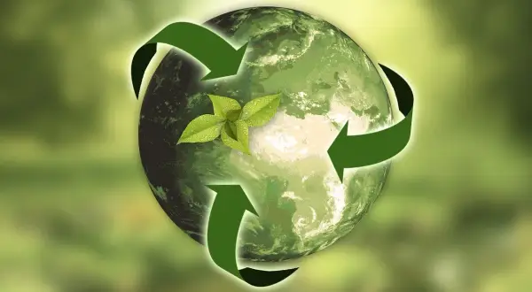 Grüne Pfeile umkreisen die Erde, auf der ein junger Spross wächst. Symbolisiert Nachhaltigkeit und den ftse global all cap Sektor.