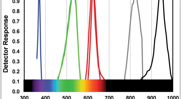 Graph showing detector response vs. wavelength, illustrating the led light color meaning for blue, green, red, and infrared LEDs.