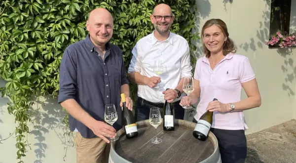 Drei Personen mit Wein vor einer Weinrebenwand. Die Flasche ganz rechts trägt das Etikett "Auxerrois".