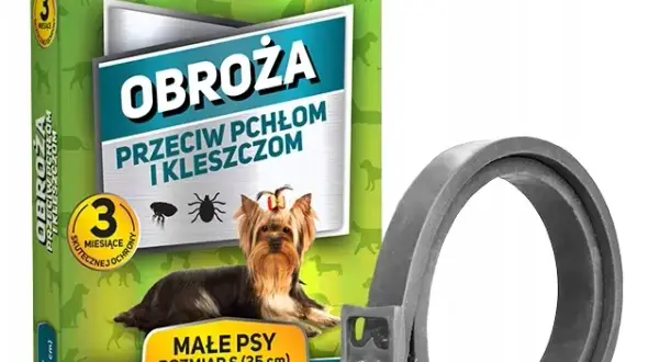 Najlepsze obroże przeciwpchelne dla psa – uniknij nieprzyjemności z pchłami