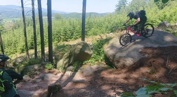 Mountainbiker meistert felsige, schnelle Trails in einem sonnigen Wald.